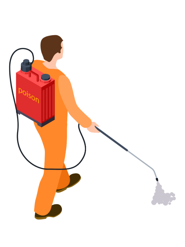 Cockroach Pest Control Near Me