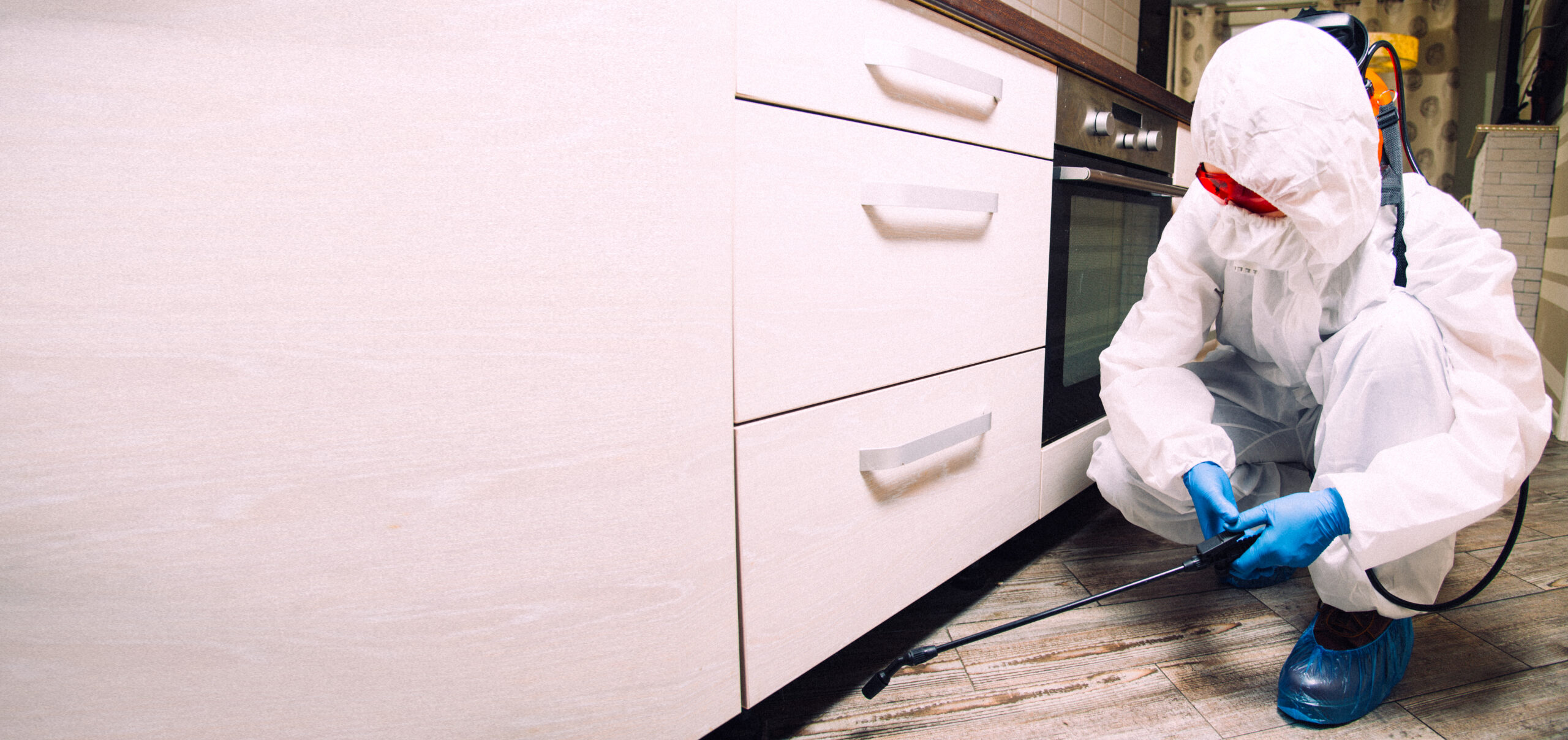 Commercial pest control exterminator service Nagpur