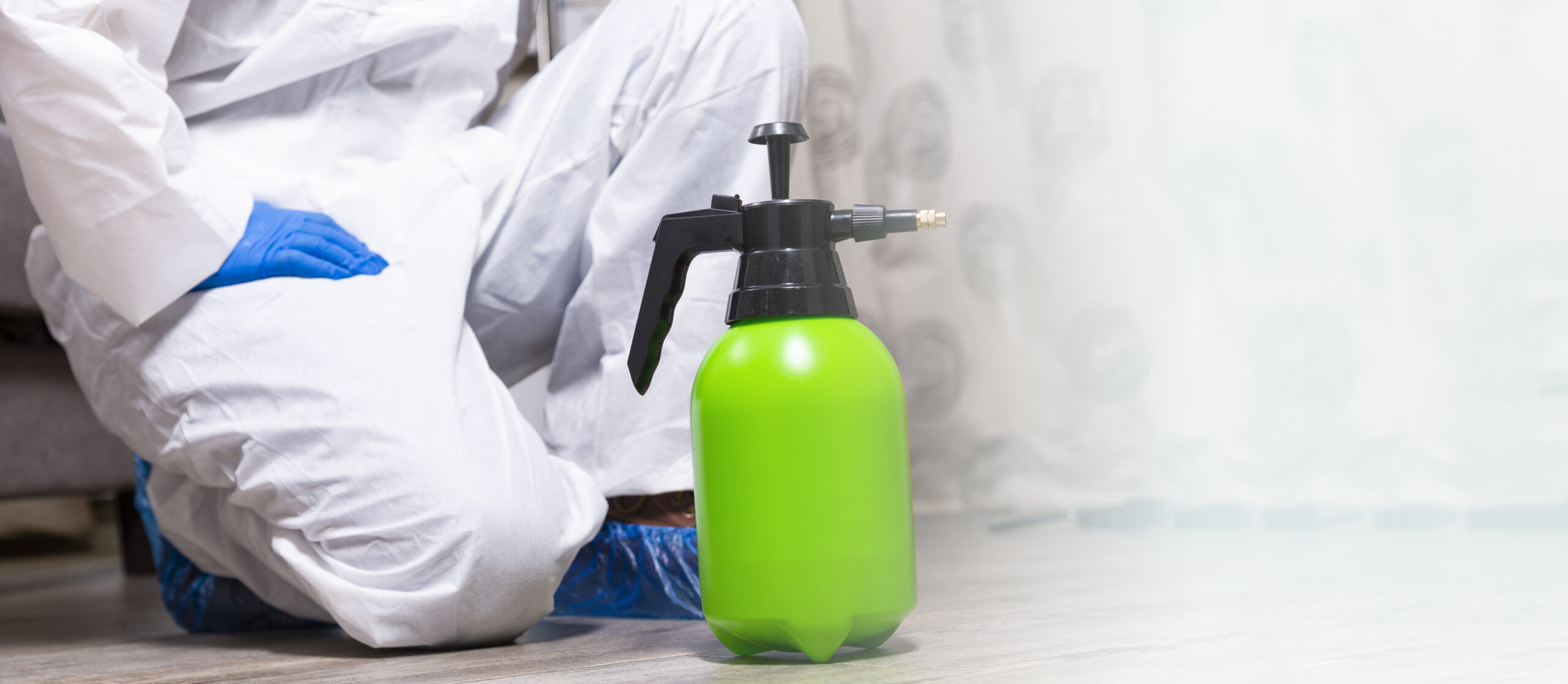 Pest control exterminator spray treatment Nagpur