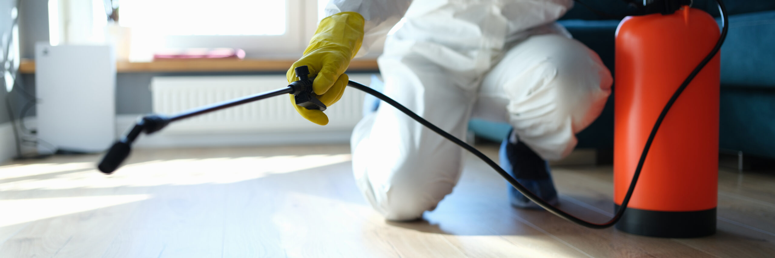 Rodent and insect disinfection premises service Nagpur