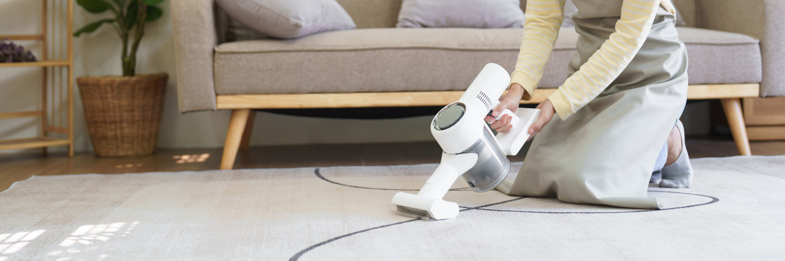 Carpet cleaning with handheld cordless vacuum Nagpur