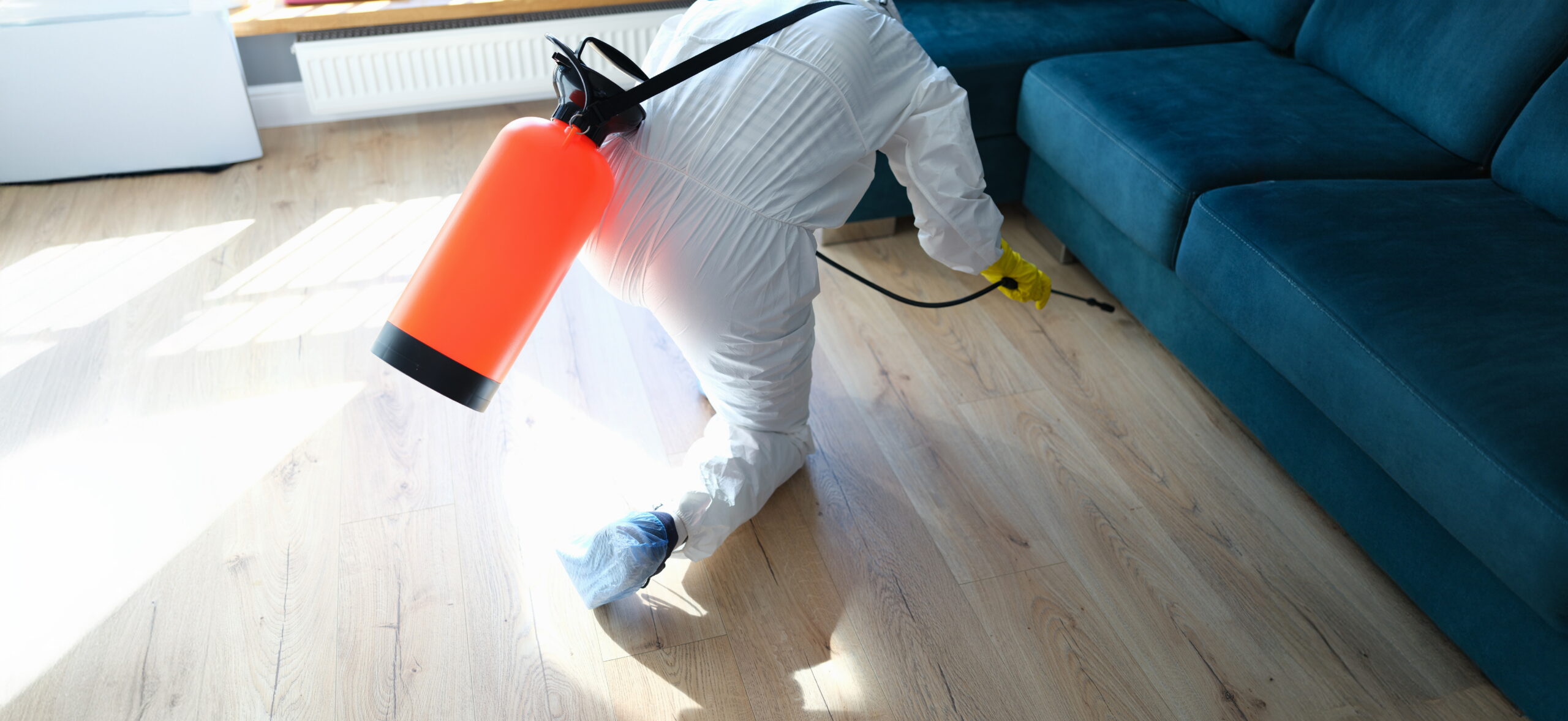 Termite treatment pest control disinfection flat Nagpur