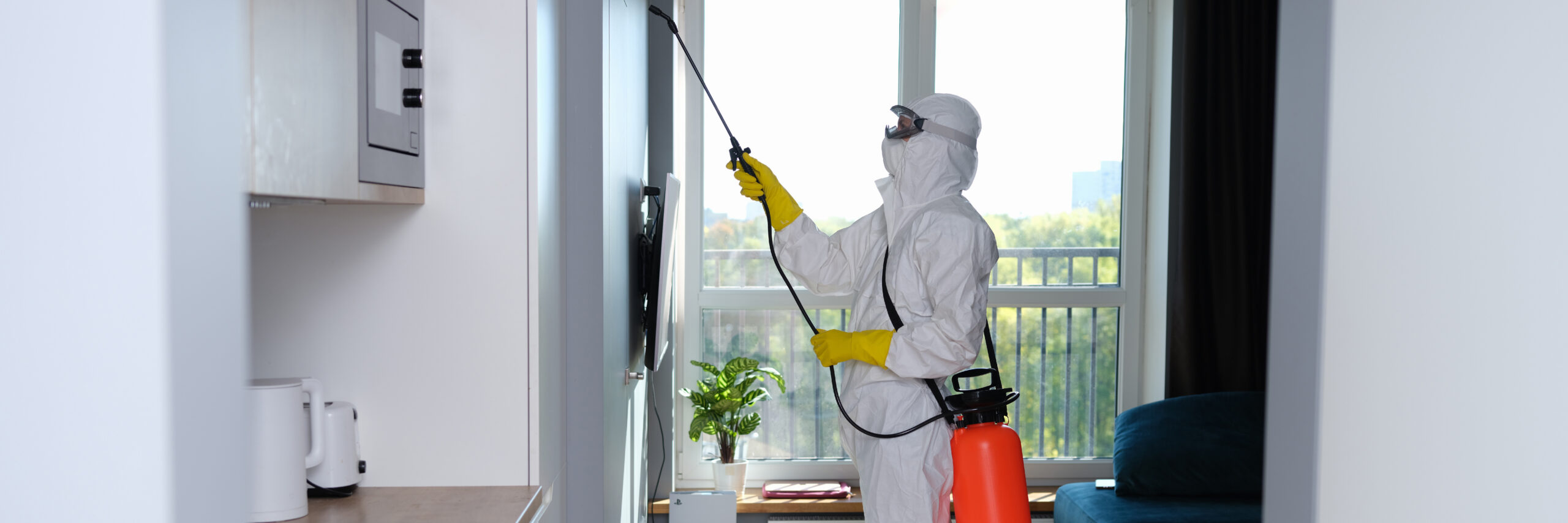 Bed bug treatment pest control disinfectant spray Nagpur