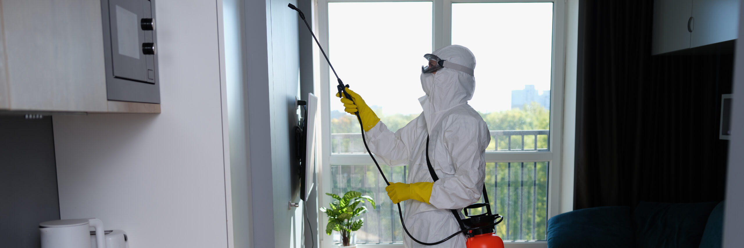 Termite treatment pest control kitchen spray Nagpur