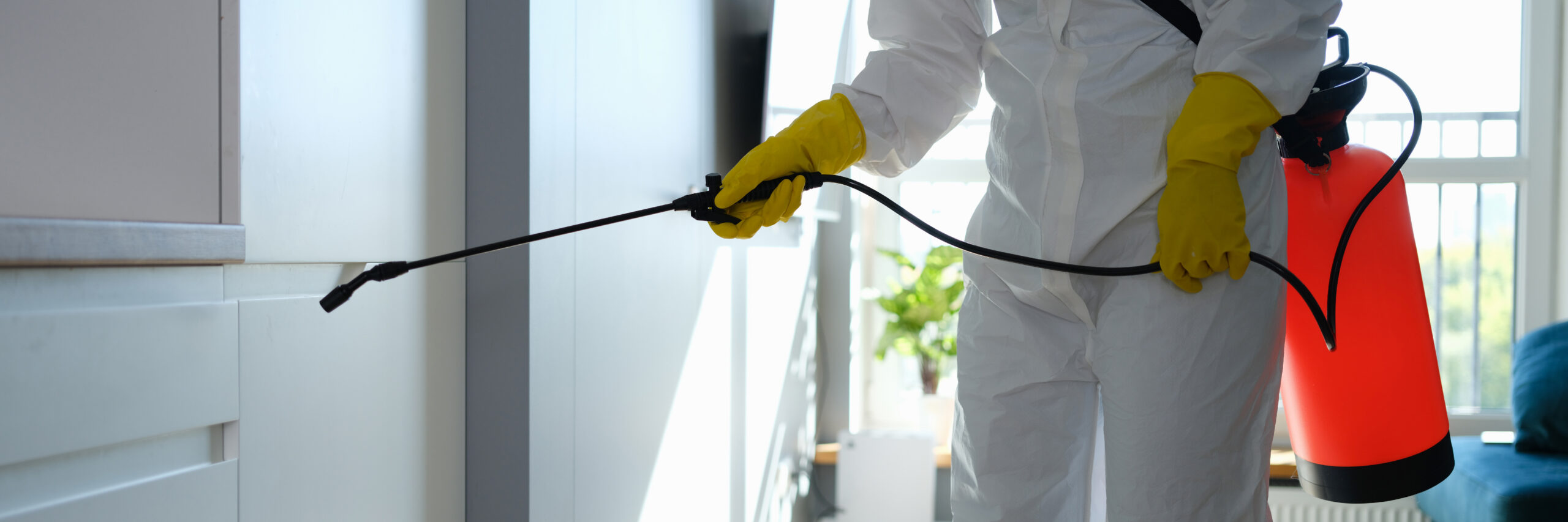 Bed bug treatment apartment disinfection protective suit Nagpur